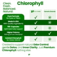 thumbnail image 6 of HealthFare Chlorophyll Capsules 600mg | Internal Deodorant & Body Odor Support | 150 Veg Pills for Women & Men | Premium Plant-Based Supplement | Vegan, Non-GMO, Gluten-Free | Made in USA, 6 of 7