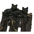 thumbnail image 6 of Set of 2 Rustic Forest Black Bears Climbing Tree Double Toggle Switch Covers, 6 of 9