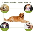 thumbnail image 3 of Dog Chew Toys, Dog Dental Care, Dog Scaler, Dog Toothbrush, Dog Chewing Sticks Sincero Mascotas, 3 of 6