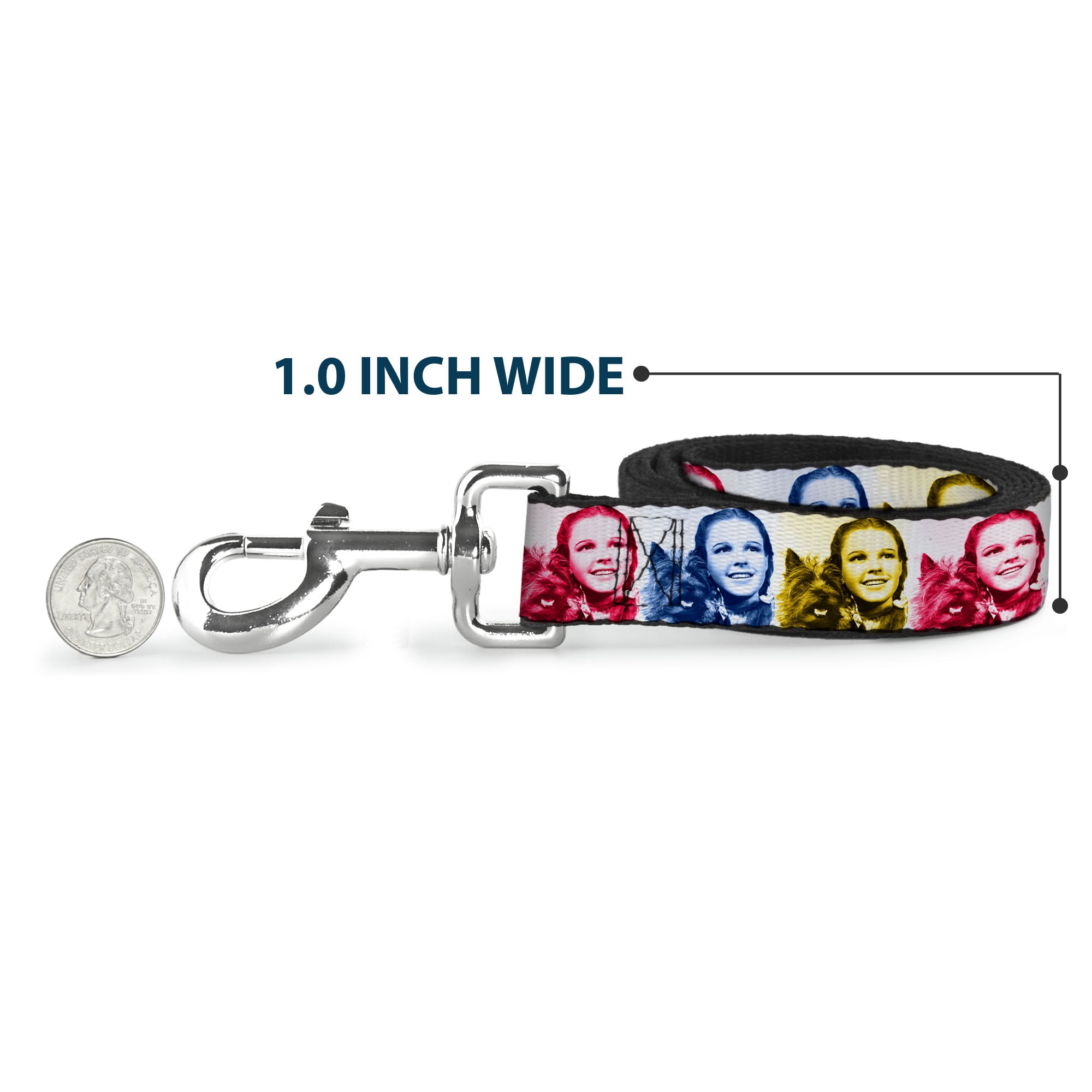Movies Pet Leash, Dog Leash, The Wizard of Oz Dorothy and Toto Pose Blues Yellows Reds, 6 Feet Long 1.0 Inch Wide
