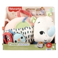 thumbnail image 1 of Fisher-Price Baby Rinoceronte Estímulos y Juego, 1 of 4