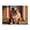 500 Pieces, variant on 500-Piece Wooden Jigsaw Puzzle for Adults - Bulldog Door Porch Sitting , Fun & Relaxing Family Game, No-Dust Interlocking Pieces, Perfect Wall Decor & Holiday Gift