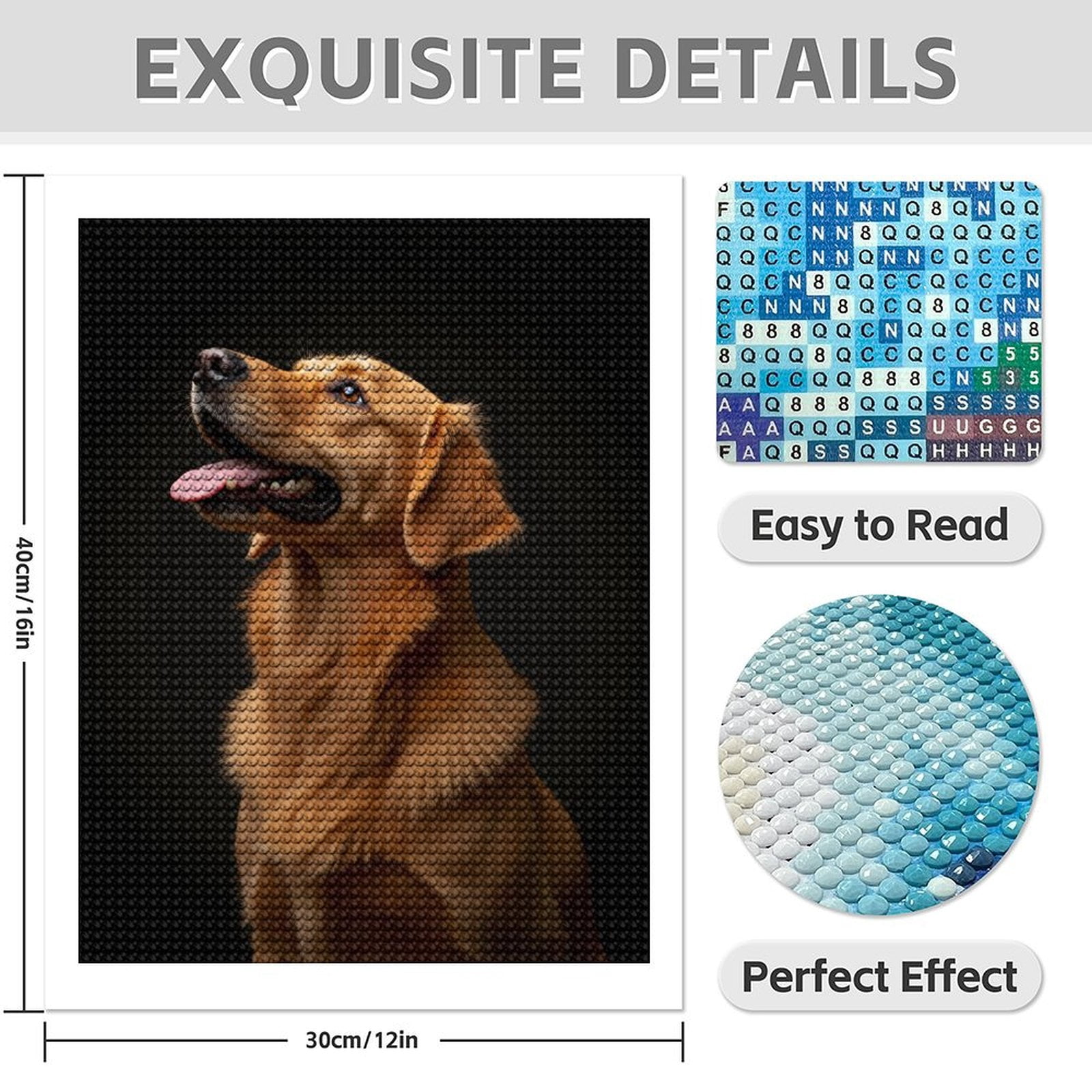Diamond Art Kits for Adults - 5d Golden Retriever Portrait Bliss Diamond Painting for Adults, Diamond Art for Adults Beginners, Diamond Painting Kits for Adults for Home Wall Decor