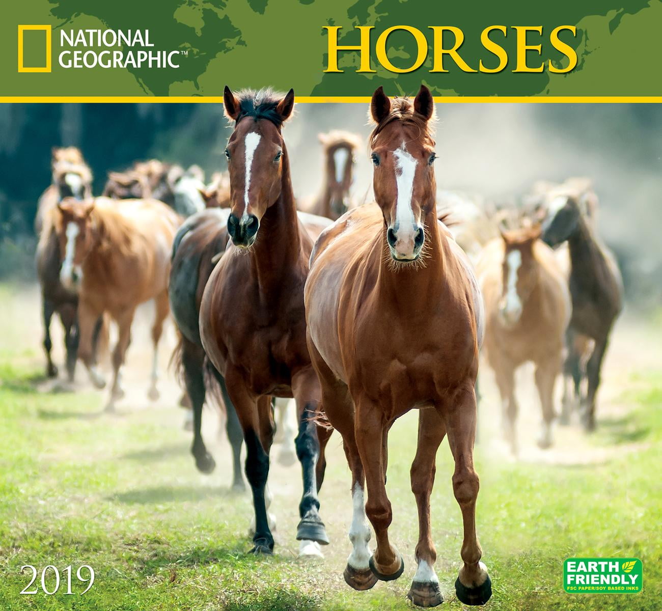 National Geographic Horses 2019 Calendar (Other) - Walmart.com