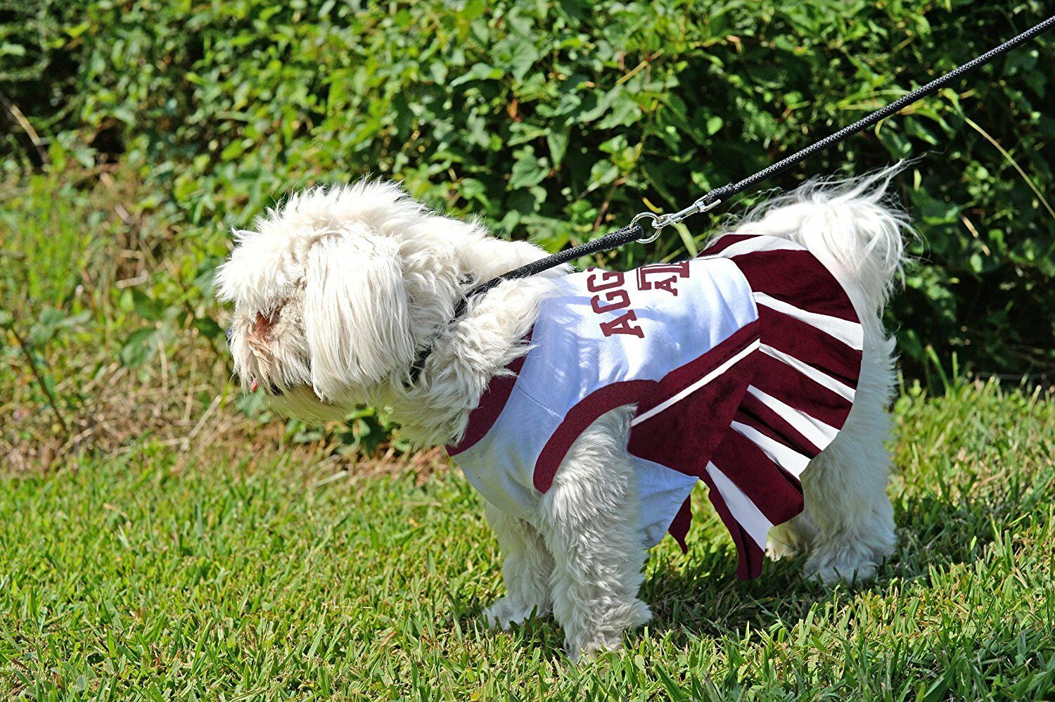 Pets First College Texas A&M Aggies Cheerleader, 3 Sizes Pet Dress Available. Licensed Dog Outfit