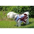 thumbnail image 4 of Pets First College Texas A&M Aggies Cheerleader, 3 Sizes Pet Dress Available. Licensed Dog Outfit, 4 of 6