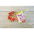 thumbnail image 4 of Grenades Explosively Strong Melonberry Slam Gum, 30 Count, 4 of 7