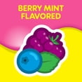 thumbnail image 4 of Pepto Bismol Berry Mint Chews, Fast 5-Symptom Stomach Relief, 24 Chewable Tablets, 4 of 8