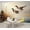 Color 6, variant on Wallpaper Mallard Duck Wildflowers Forest Duck Stream Lily Pads Peel and Stick Wall Murals 69"H x 96"W Removable PVC Wall Paper Self-Adhesive Wall Paintings Art Decor for Bedroom Living Room