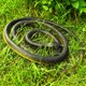 thumbnail image 5 of Juguete de serpiente de goma de serpiente falsa, 4 piezas de serpientes mamba negras realistas para accesorios de jardín para mantener alejados a los pájaros, juguetes de serpiente que parecen bromas, 5 of 5