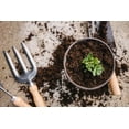 thumbnail image 3 of Gardenera Labs Premium Celery Potting Soil Mix - Optimal Nutrient-Rich Blend for Thriving and Crisp Celery Plants - 1 Quart, 3 of 3
