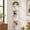 White-5Tie-MDF, variant on JIONEXA Floating Shelves, 5-Tier Corner Wall Shelf, MDF Floating Corner Bookshelf for Home, Office, Living Room, Bedroom, Bathroom,Room Decor, Black