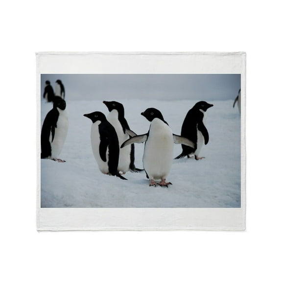 CafePress - Adelie Penguin In Antarctica Throw Blanket - Soft Fleece Throw Blanket, 50"x60" for All Ages