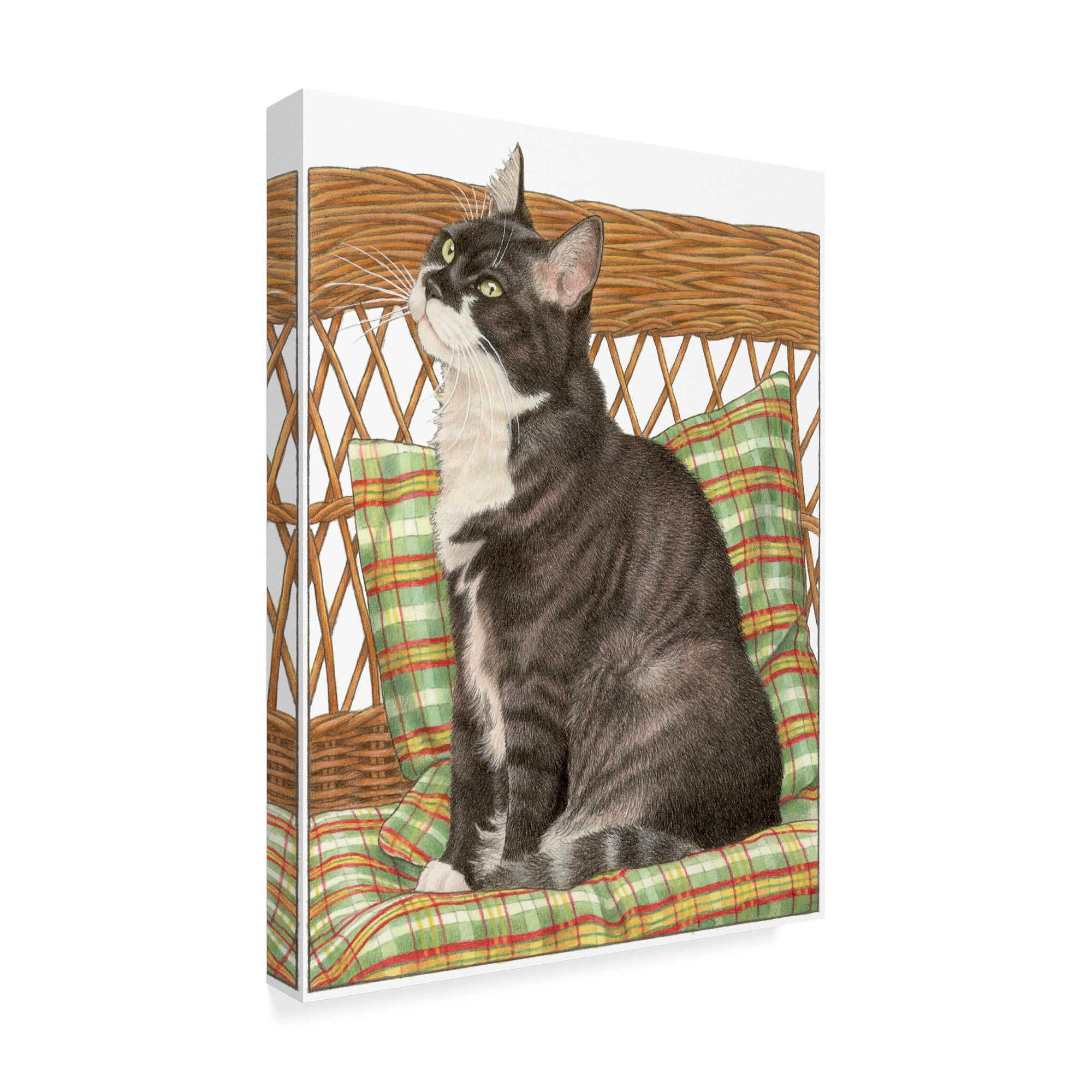 Trademark Fine Art 'Black Cat On Pillow' Canvas Art by Francien Van Westering