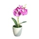 thumbnail image 5 of Bonsáis artificiales Naiovety no tóxicos y durables para planta artificial de DIY, 5 of 6