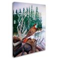 thumbnail image 2 of Trademark Fine Art 'Red Tailed Hawk' Canvas Art by Arie Reinhardt Taylor, 2 of 3
