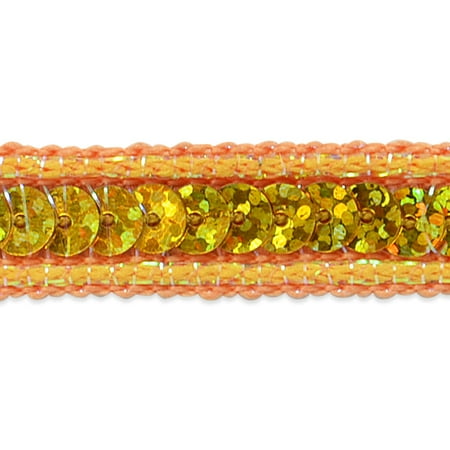 Silver Trim Note - Expo 5 yards of Lexi Single Row Starlight Hologram Sequin with Sparkle Edge Trim