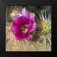 thumbnail image 2 of Popcorn 12x12 Black Modern Framed Museum Art Print Titled - Hedgehog Bloom I, 2 of 5
