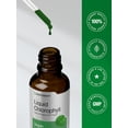 thumbnail image 7 of Liquid Chlorophyll | 2 oz | Natural Peppermint Flavor | by Horbaach, 7 of 7