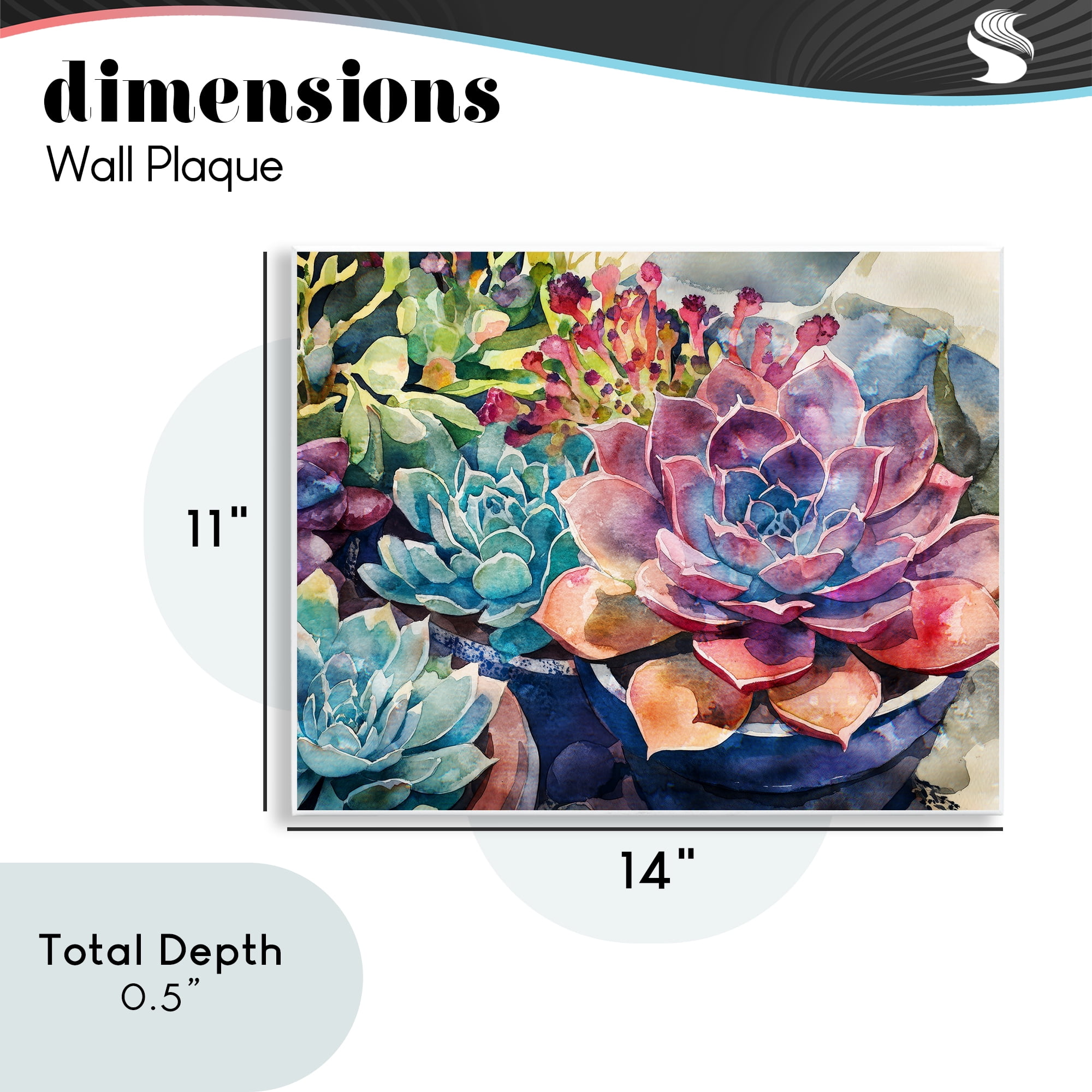 Stupell Industries Sun Kissed Succulents Wall Plaque Art, design by Svetlana Aleynikova
