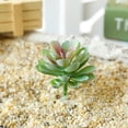 thumbnail image 4 of Coofit Artificial Succulent Decorative Realistic Plastic Succulent Artificial Plant, 4 of 7