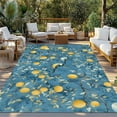 thumbnail image 3 of Fsddascl Summer Lemon Outdoor Rug for Patio/Deck/Porch, Non-Slip Large Area Rug 4 x 6 Ft, Spring Flower Bird Watercolor Blue Indoor Outdoor Rugs Washable Area Rugs, Reversible Camping Rug Carpet, 3 of 5