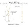 thumbnail image 5 of Rosec Jewels Lab Grown Diamond Key Necklace Pendant with Chain - Ef-Vs Quality Pave Diamond Necklace - Anniversary Gift, 14K Yellow Gold, 5 of 7