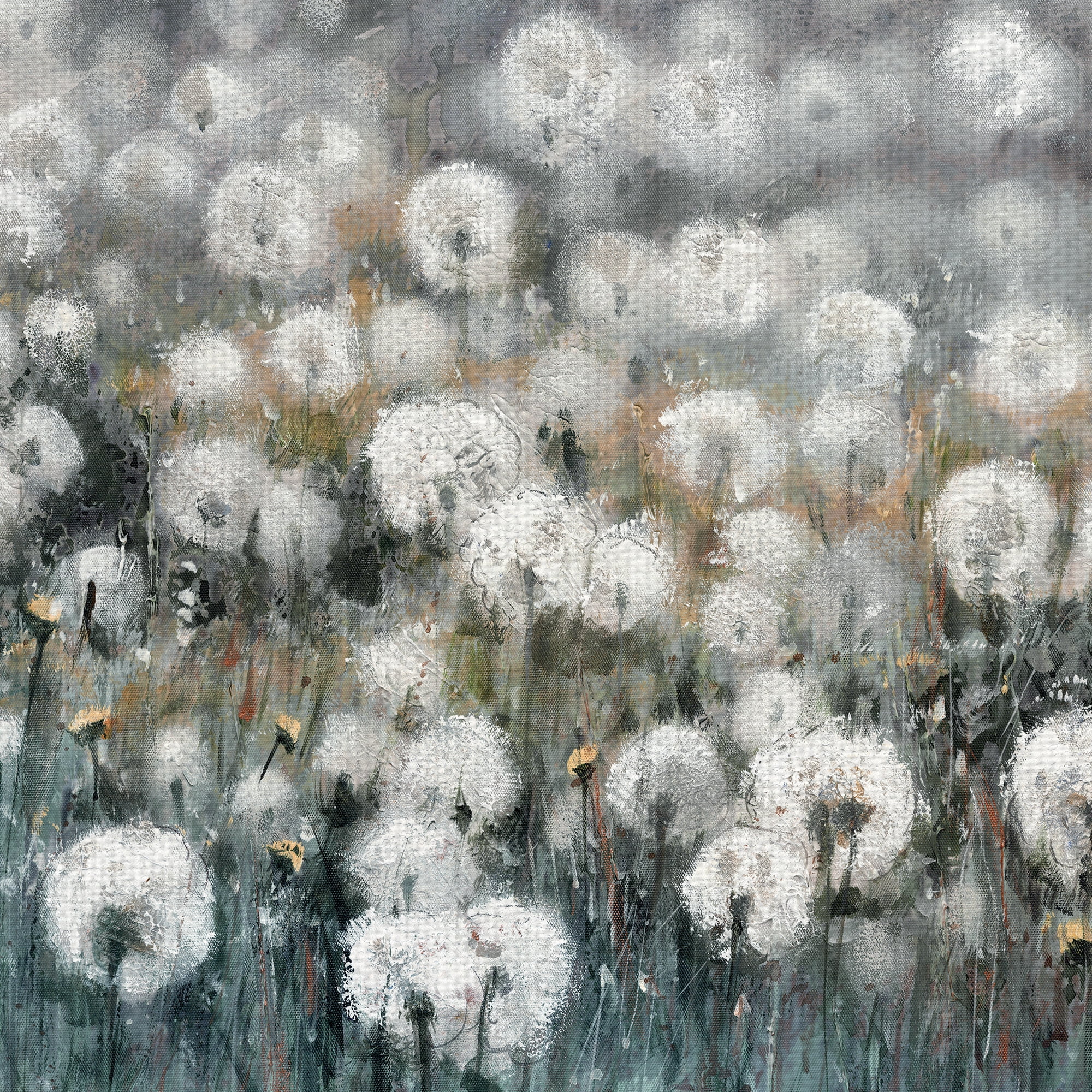 Masterpiece Art Gallery Field Of Dreams Dandelions By Sandy Doonan Canvas Art Print 22" x 28"