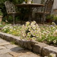 thumbnail image 4 of 1 Pack UV Resistant Faux Floral Shrub Potted, Realistic Fake Plants with Planter, Decorative Topiary Plant for Outdoor, Indoor, Porch, Garden, Patio Decor (White), 4 of 6