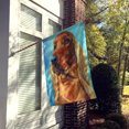 thumbnail image 2 of Carolines Treasures 7314CHF Irish Setter In Blue Flag Canvas House Size, 2 of 4