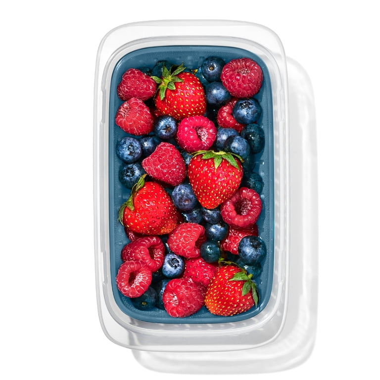 OXO Prep & Go Leakproof Fruit Storage Container photo 4