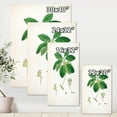 thumbnail image 4 of Designart ' Ancient Botanicals V ' Farmhouse Canvas Wall Art Print, 4 of 4