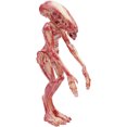 thumbnail image 1 of Super7 Alien: Resurrection Newborn Alien Reaction Figure, Mu Super7 Super7, 1 of 2