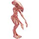 thumbnail image 1 of Super7 Alien: Resurrection Newborn Alien Reaction Figure, Mu Super7 Super7, 1 of 2