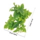 thumbnail image 5 of AURARMLET Planta De Paisaje Artificial Para Terrario Adorno Para Acuario Y Hábitat De Reptiles, 5 of 6
