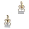 thumbnail image 4 of maskred PVC Human Pelvis with Pelvis and Size Toy Learning Life Bones Leg Style A 2Set, 4 of 6