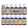 thumbnail image 1 of Paquete DE 12 Aceites Esenciales BARRO MOJADO Grado Alimenticio Frascos Pequeños, 1 of 6