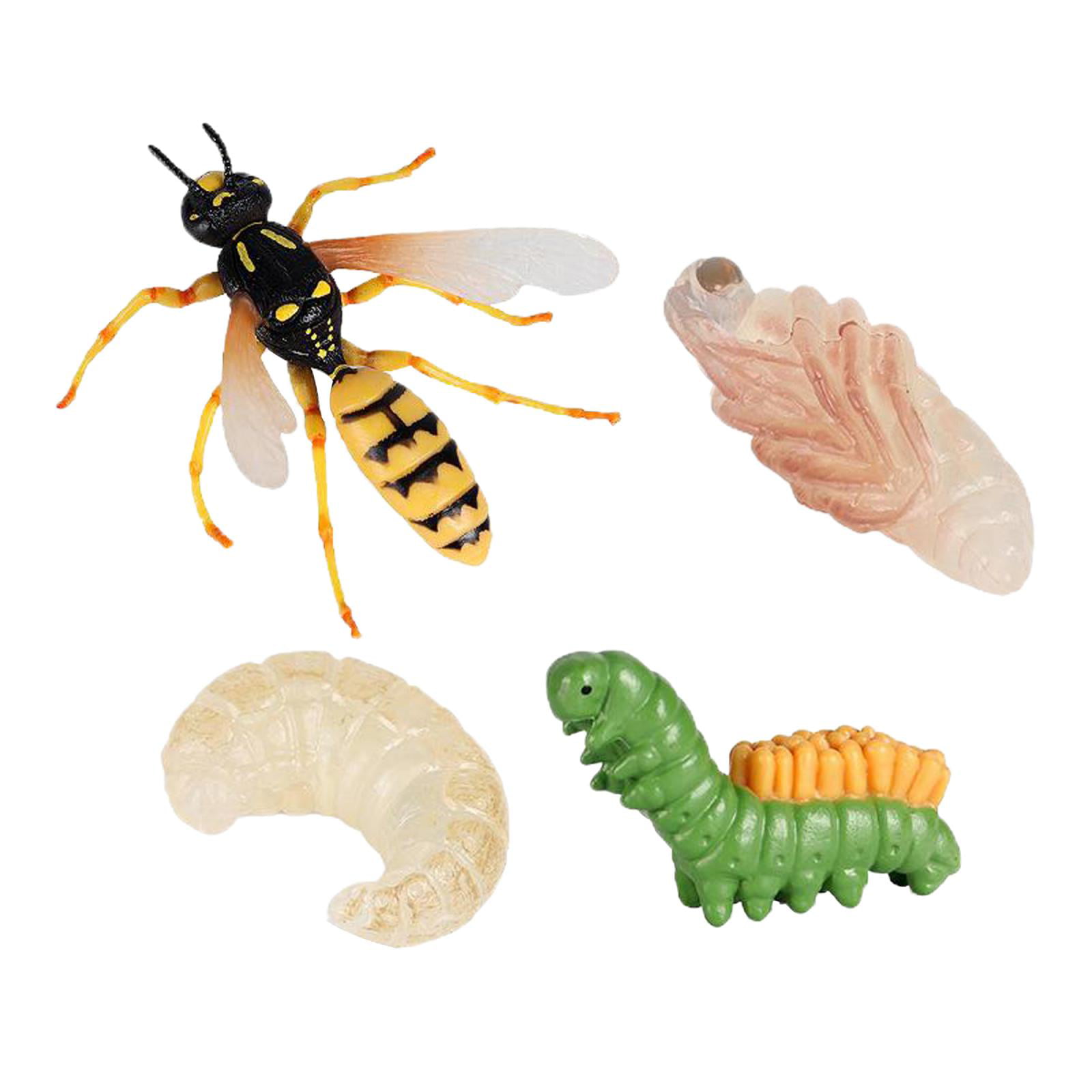4Pcs Wasp Growth Toy Animal Growth Cycle Aids Realistic -