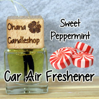 Little Trees Air Freshener New Car Scent Fragrance 3-Pack