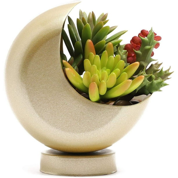 Half Moon Decorative Succulent Pot Planter Gold Crescent Flower Cactus Container For Living Room Office Desk Perfect Gift Idea Com - Crescent Garden Pots