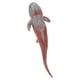 thumbnail image 5 of Modelo animal de simulación, modelo Dunkleosteus de simulación, figura de animal para niños, modelo de simulación para niños, funcionamiento suave, 5 of 9