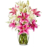 From You Flowers - Stunning Pink and White Lilies with Glass Vase (Fresh Flowers) Birthday, Anniversary, Get Well, Sympathy, Congratulations, Thank You