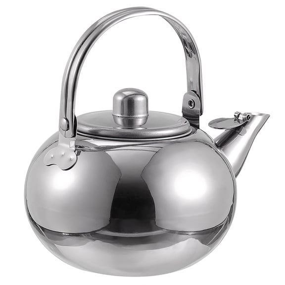 CIMAXIC Stainless Steel Tea Pot Teapot Silver 1Pack Portable