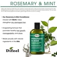 thumbnail image 4 of Difeel Rosemary and Mint Hair Strengthening Conditioner with Biotin 12 oz., 4 of 10