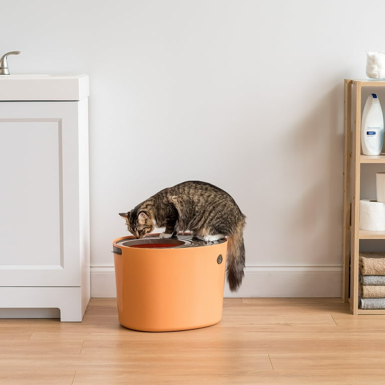 Top entry cat litter box clearance reviews