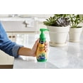 thumbnail image 4 of Miracle-Gro Succulent Plant Food 2-pack, 4 of 7