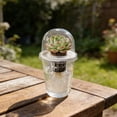 thumbnail image 5 of SharkTRUE Clear Hydroponic Seedling Starter Kit, Inch Cups with Humidity Domes for Root Observation and Indoor Growth,Reusable Nursery System for Cuttings, Degree Visibility, 5 of 10