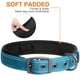 thumbnail image 4 of Collar para perros Fida Heavy Duty, acolchado de neopreno, para razas medianas, 4 of 7