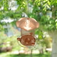 HINTSAN Bird Feeders，squirrel proof bird feeders for outside hanging