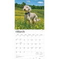 thumbnail image 3 of Goldendoodles | 2026 12x24" (Hanging) Square Wall Calendar | Plastic-Free, 3 of 9